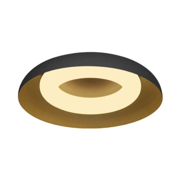 LED plafonjera 24W, promenljiva boja svetla 202508