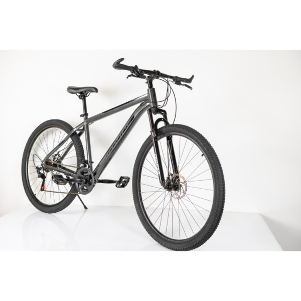 BIC. 29''/21  MAXIMUS GREY  