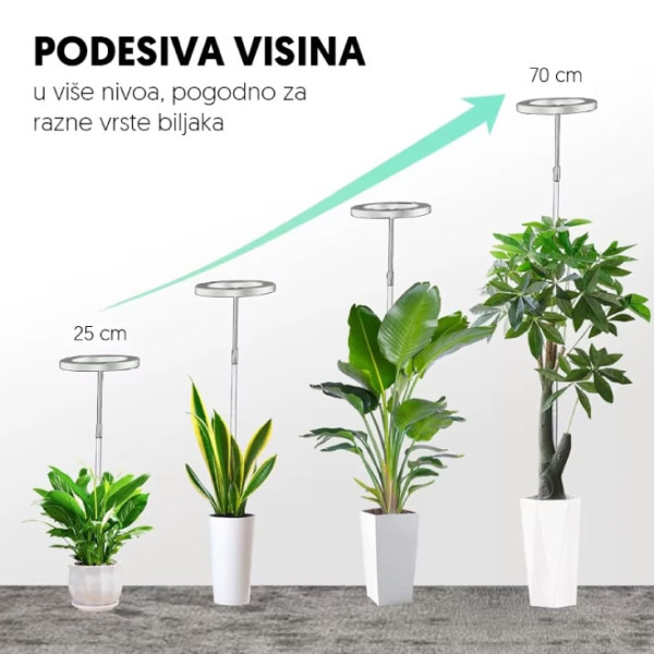 https://www.taberna.rs/images/products/big/50221.jpg